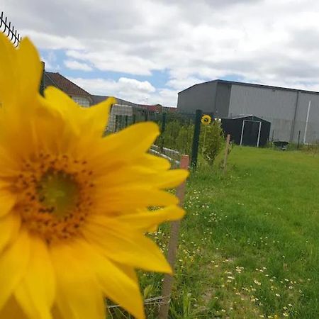 Chambre Calme Dans Une Maison Neuve Avec Jardin Billere Exterior foto